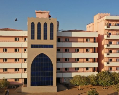 Buildings development